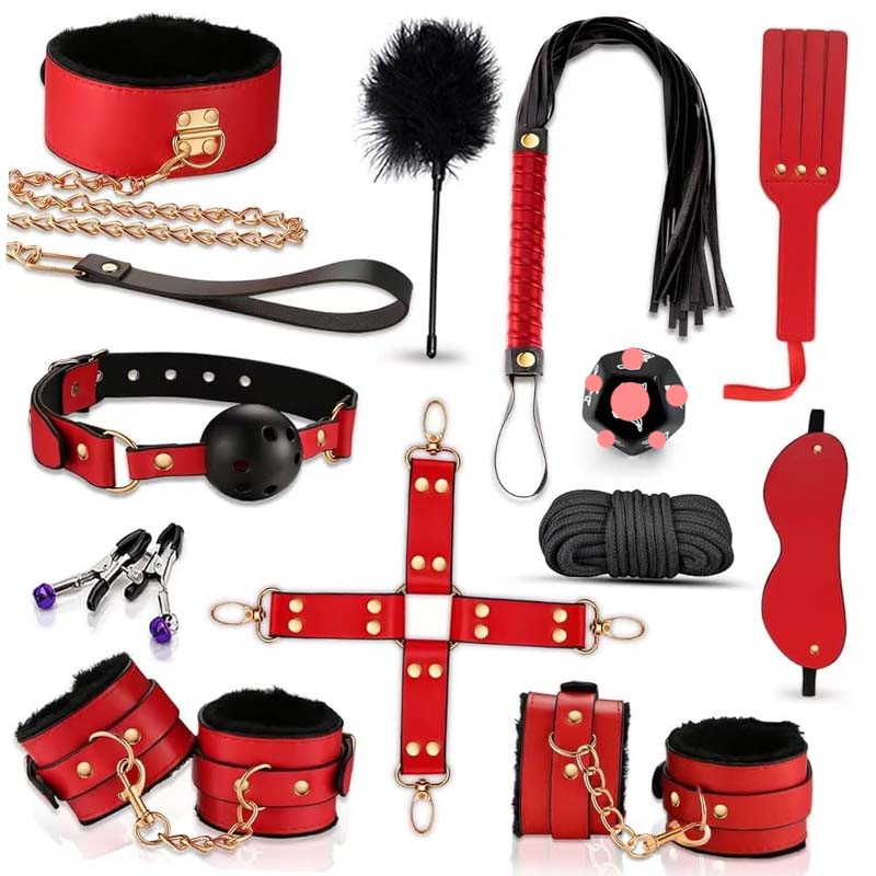 Health Wellness Training - Kit de Bondage BDSM de 12